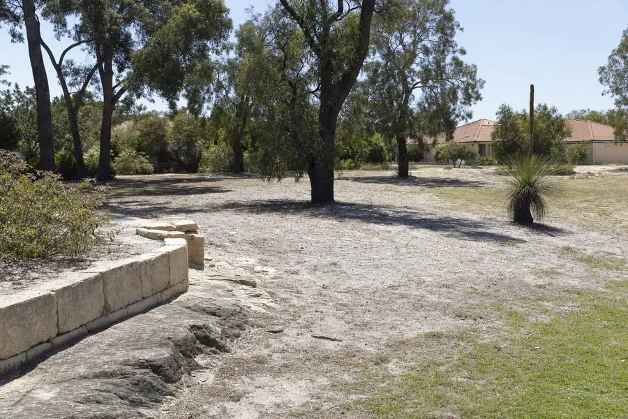 A flat coastal-plain block of pale free-draining sand with tuart, banksia, a grass tree and a cut-limestone wall, cream brick-and-tile housing beyond — illustrative example
