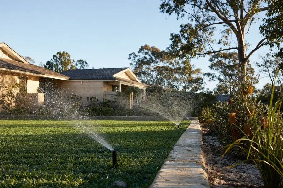 Pop-up reticulation sprinklers running on a couch lawn in early morning light, low fans of water across the grass — illustrative example